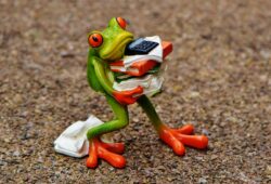 frog, figure, files, stack, pile of files, office, decoration, green, animal, fun, cute, ceramic, calculator, nature, office work, work, stress
