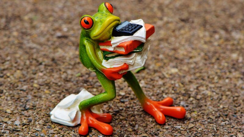 Urlaub vorbei? Lustige Sprüche und kreative Ideen gegen den Post‑Holiday‑Blues
